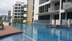 Palm Isles (D17), Condominium #204463491